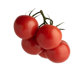 Branch of ripe tomatoes isolated on white background