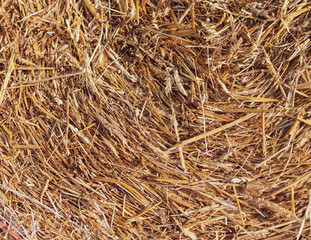 Stack of dry hay as an abstract background