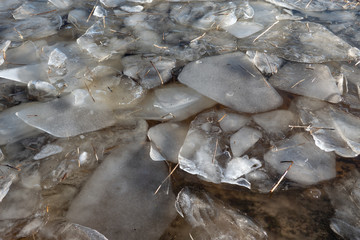 Broken ice on the surface of the lake. Shines through the dark water. There are fragments of reed stalks. Background. Texture.