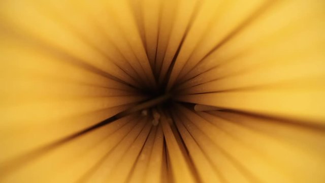 Starting near the bottom, slowly pulling back through the interior of a bag of spaghetti - strands fall & vibrate into place as lens passes; ending outside of the bag with all tips visible.