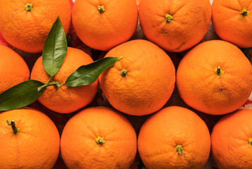 Orange fruit in bulk. Healthy citrus food picked in California