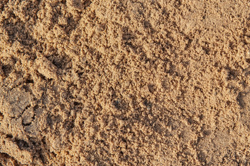 Macro shot of wet sand, for texture or background
