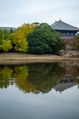 Fototapeta na wymiar autumn landscape of a pond near a japanese temple