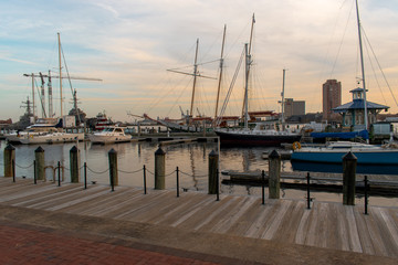 boats in harbor