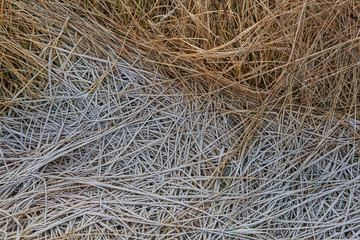Half of a grassy field covered with frozen grass