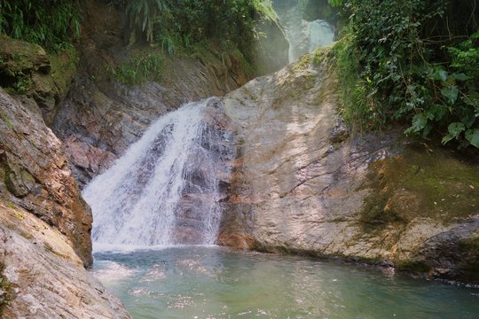 naturaleza y vida para el planeta