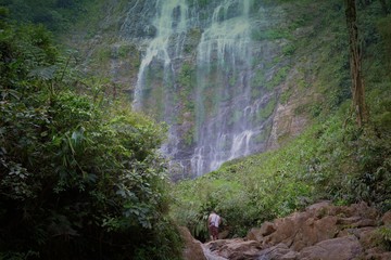 naturaleza y vida para el planeta