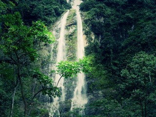 naturaleza y vida para el planeta © mauricio