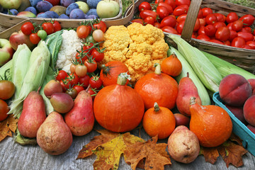 Summer harvest from organic garden.