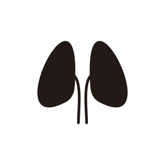 kidney icon vector illustration sign