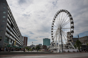 Riesenrad in Rotterdamm