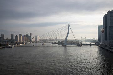 Obraz premium Panorama von Rotterdamm