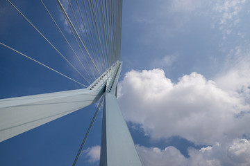 Fototapeta premium Błękitne niebo nad mostem w Rotterdamie