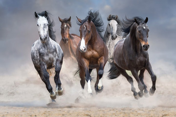 Obrazy na Szkle  Stado koni biegnie swobodnie po pustynnym pyle na tle burzowego nieba