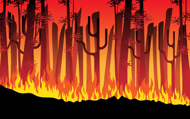 fire is burning in the forest in the night