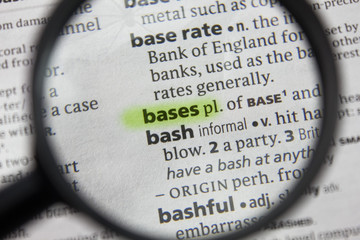 The word or phrase bases in a dictionary.