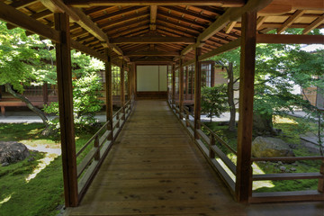 建仁寺の渡り廊下