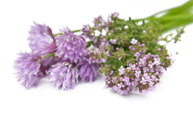 bouquet of chive and thyme in flower on white background