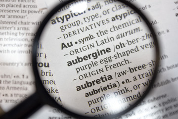 The word of phrase - aubergine - in a dictionary.