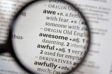 The word of phrase - awesome - in a dictionary.