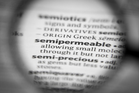 Word or phrase semipermeable in a dictionary.