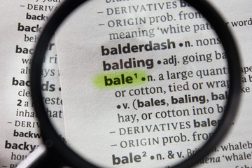The word or phrase bale in a dictionary.