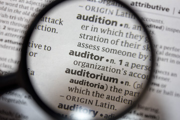 The word of phrase - auditor - in a dictionary.