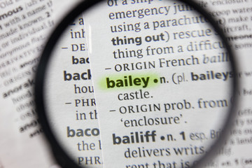 The word or phrase bailey in a dictionary.