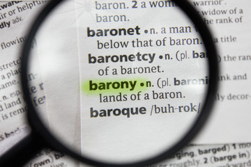The word or phrase barony in a dictionary.
