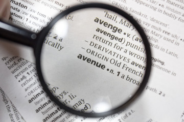 The word of phrase - avenue - in a dictionary.