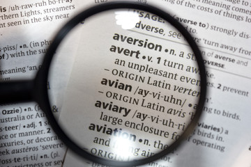 The word of phrase - avian - in a dictionary.
