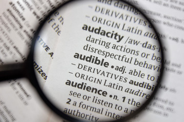 The word of phrase - audible - in a dictionary.