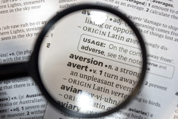 The word of phrase - aversion - in a dictionary.