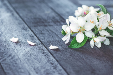 Fototapeta na wymiar A twig with small white flowers on a rustic wooden background. spring Apple blossom.