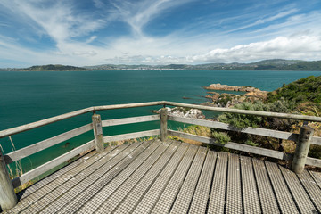 Matiu-Somes Island in Wellington harbor. An offshore island in view of Wellington city which is home to many endangered species and is a popular day trip.