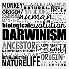 Darwinism word cloud collage, education concept background