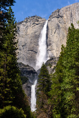 View of Upper and Lower Yosemite Falls with beautiful day, Travel in Yosemite Park in springtime, California