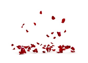 Rose petals fall beautifully on the floor