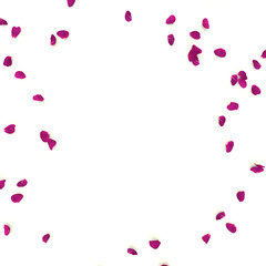 Rose petals are scattered on the floor. There is free space for your design