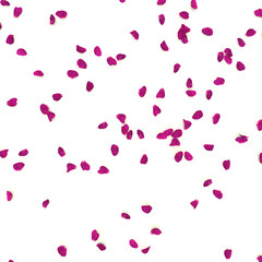 Rose petals are scattered on the floor
