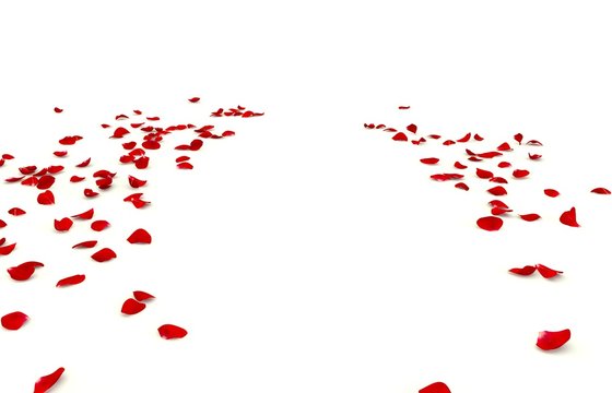 Rose petals are scattered on the floor. There is free space for your design