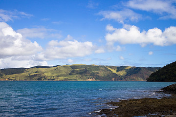 Fototapeta na wymiar Huia coastline, New Zealand