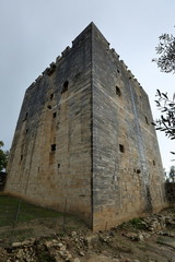 Fototapeta na wymiar Kolossi fortress castle in Kolossi village nearby Limassol, Cyprus
