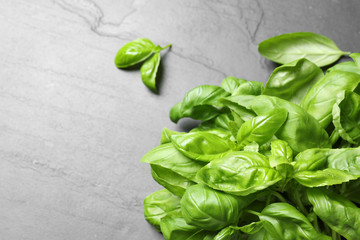 Fresh basil leaves on grey table, top view. Space for text