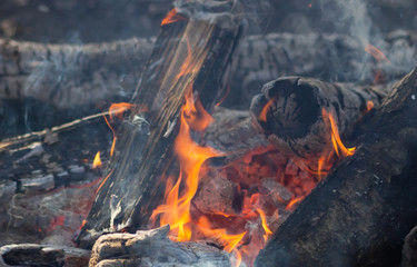 A fire burns in a campfire, Fire to keep warm.