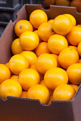 Fresh oranges on display in cardboard box.  Shopfront, farmers market or harvest.