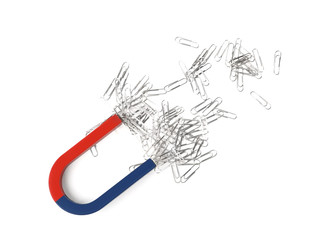 Magnet attracting paper clips on white background, top view