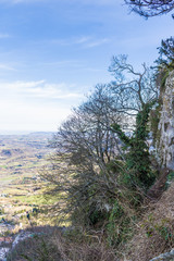 Shrubs and trees growing on the rocks with panorama view - Image