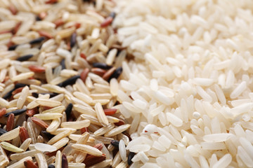 Brown and polished rice as background, closeup
