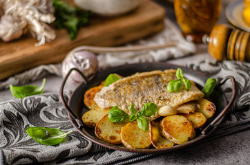Zander fish grilled